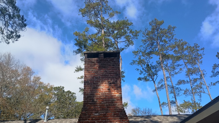 Chimney Inspection  Fireplace Sales 